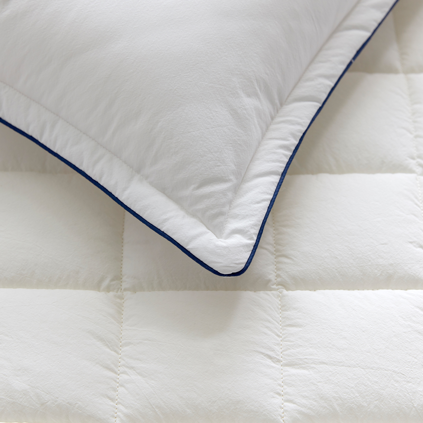 56fe2ed02a8c9.jpg