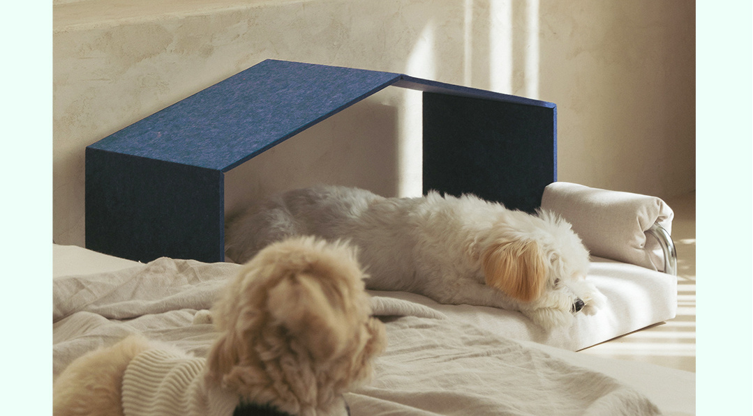 Balancing body charges to promote healthy cellular activity in pets