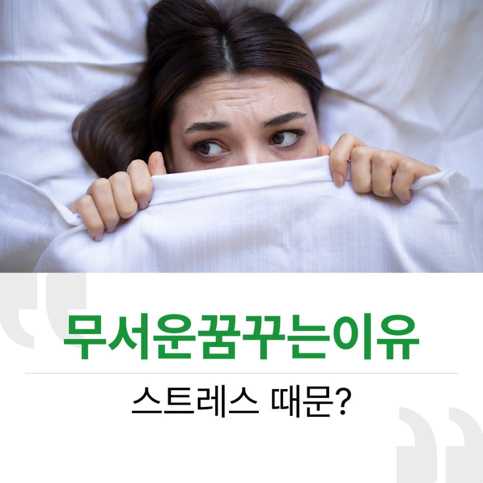 669a3880c8af0.png