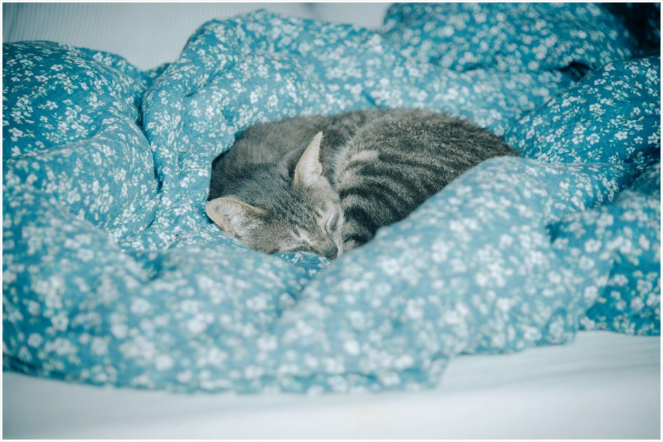 71802a65f9910.png