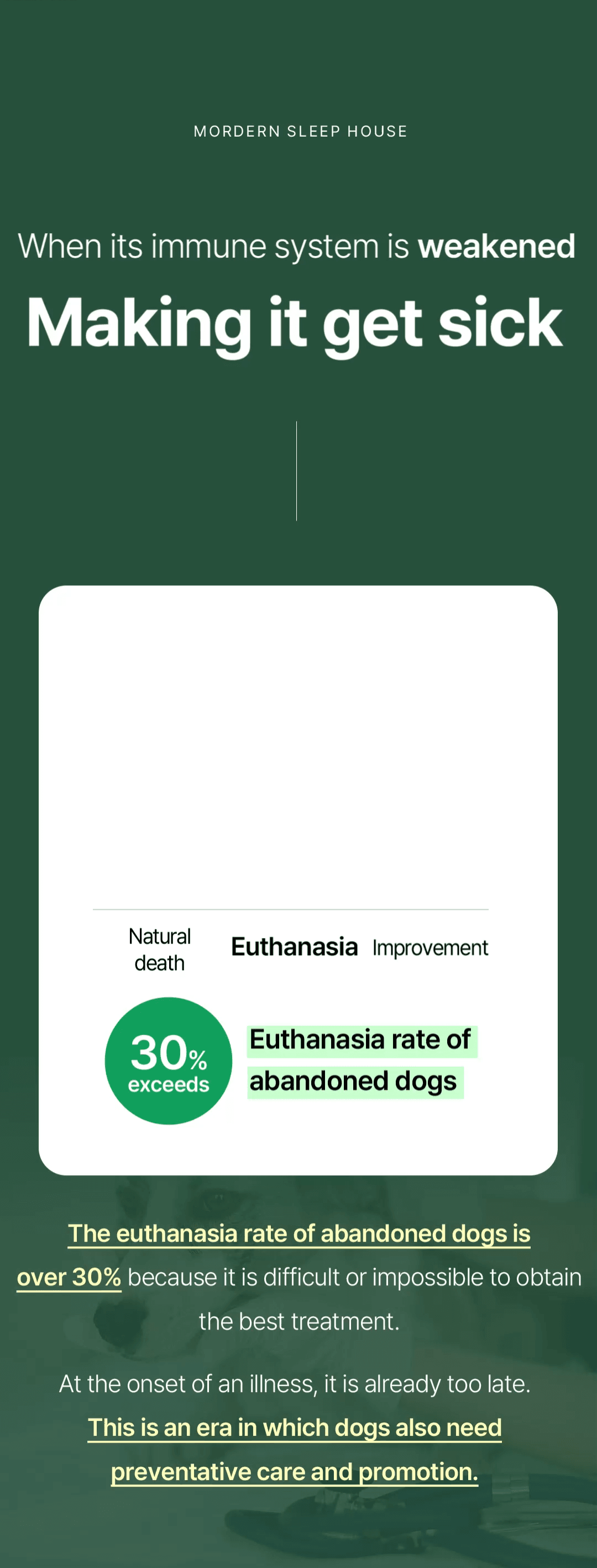 Preventing pet illness by strengthening the immune system through deep sleep