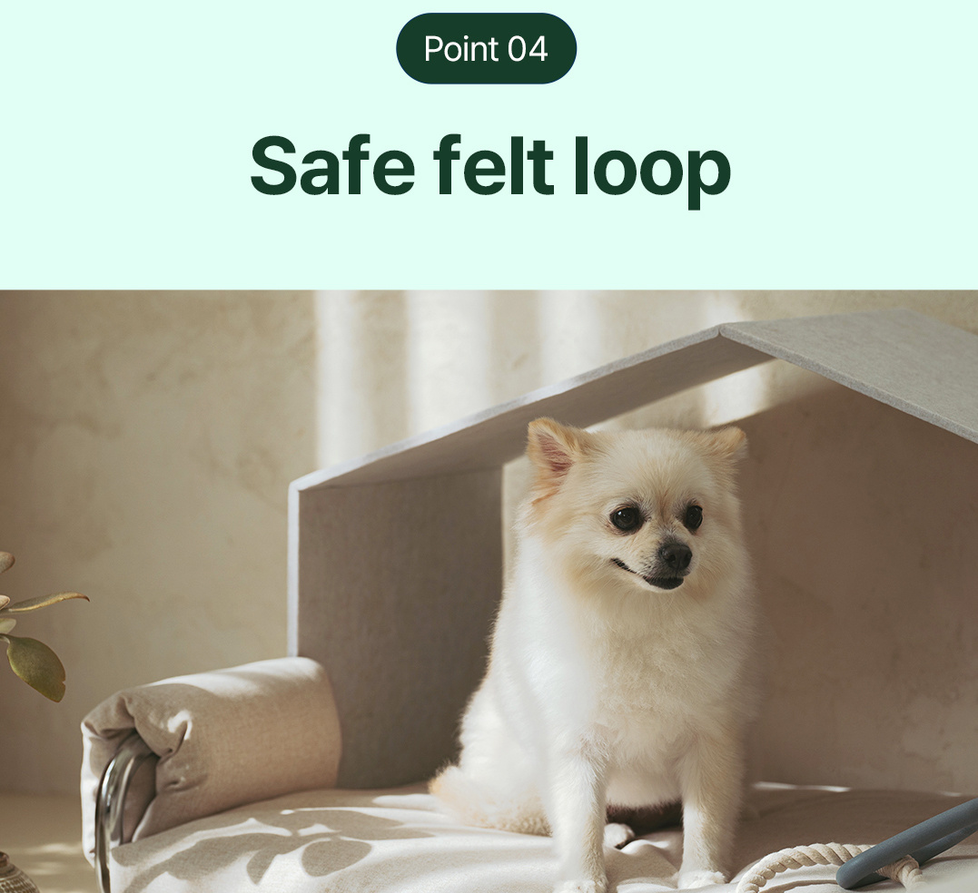 Dr.Friend Puppy G-Plug with electromagnetic compatibility certification