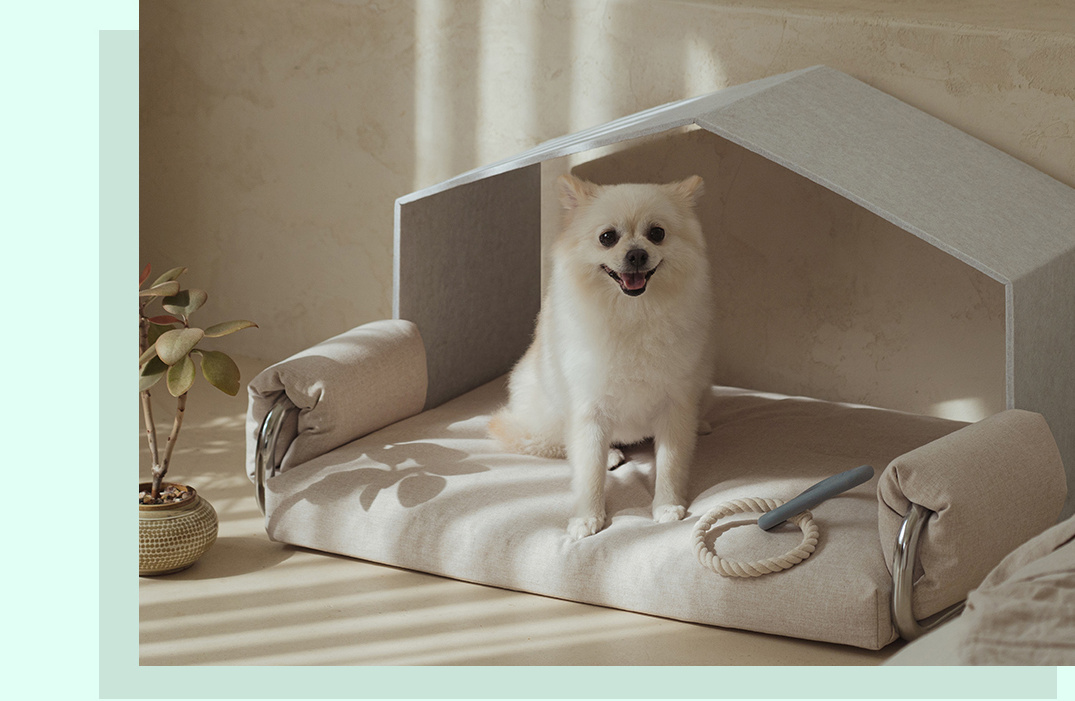 Scientific pet sleep solution for better recovery and health