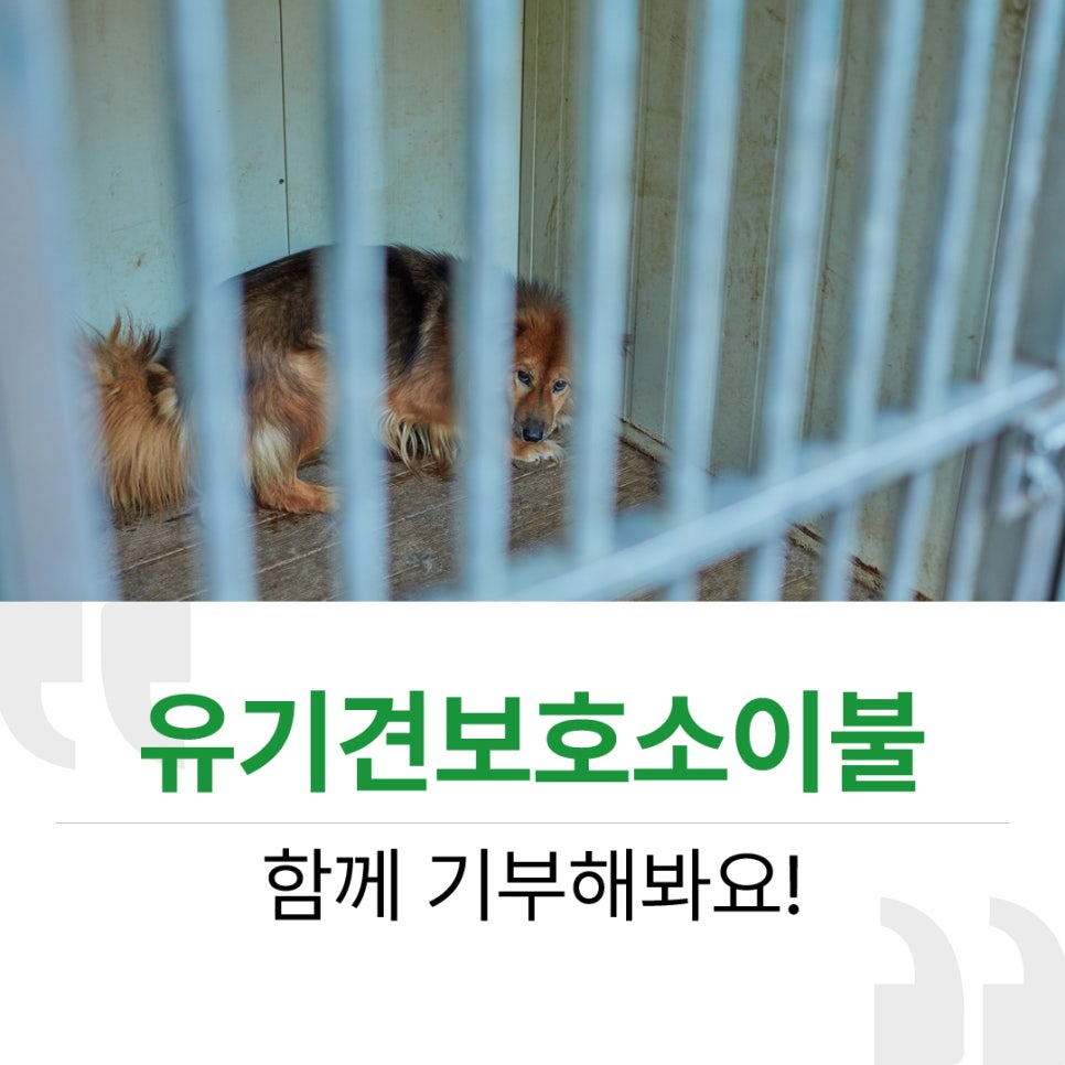 d509afe8ab3e3.png
