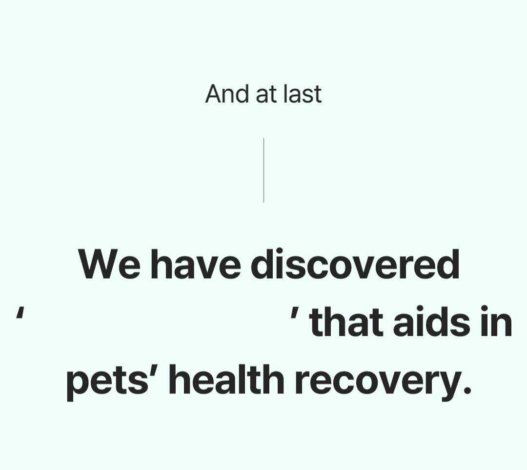 Clinically validated pet bed technology for inflammation and stress reduction