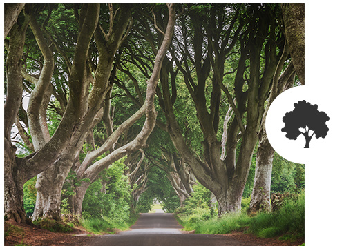 Durable modal natural fiber with low shrinkage and high resilience