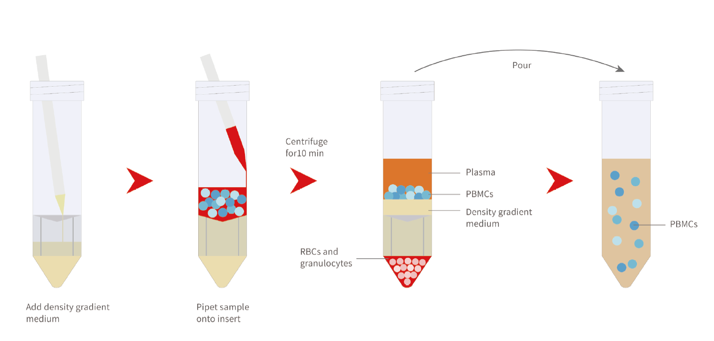LABSELECT PBMC Isolation Tube
