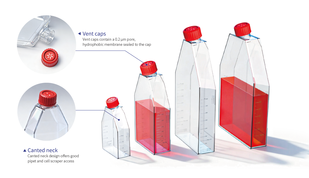 LABSELECT Poly-D-Lysine Surface Treatment
