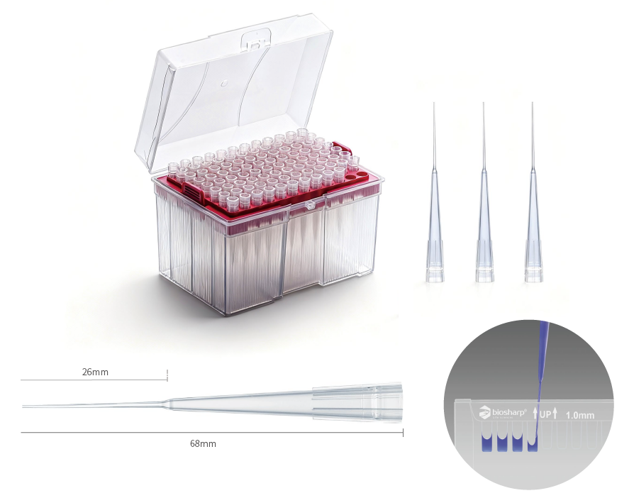 Biosharp Gel Loading Pipette Tip