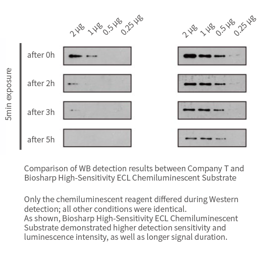 Biosharp ECL Chemiluminescent Substrate