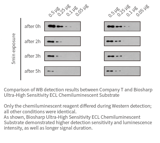 Biosharp ECL Chemiluminescent Substrate