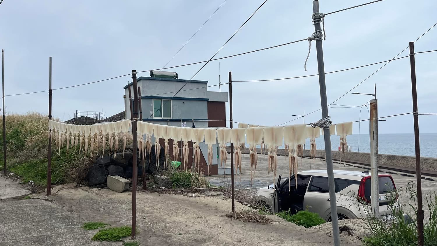 819d90d10314e.jpeg