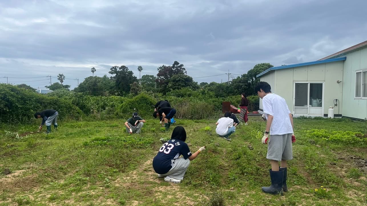 d3372a0491752.jpeg
