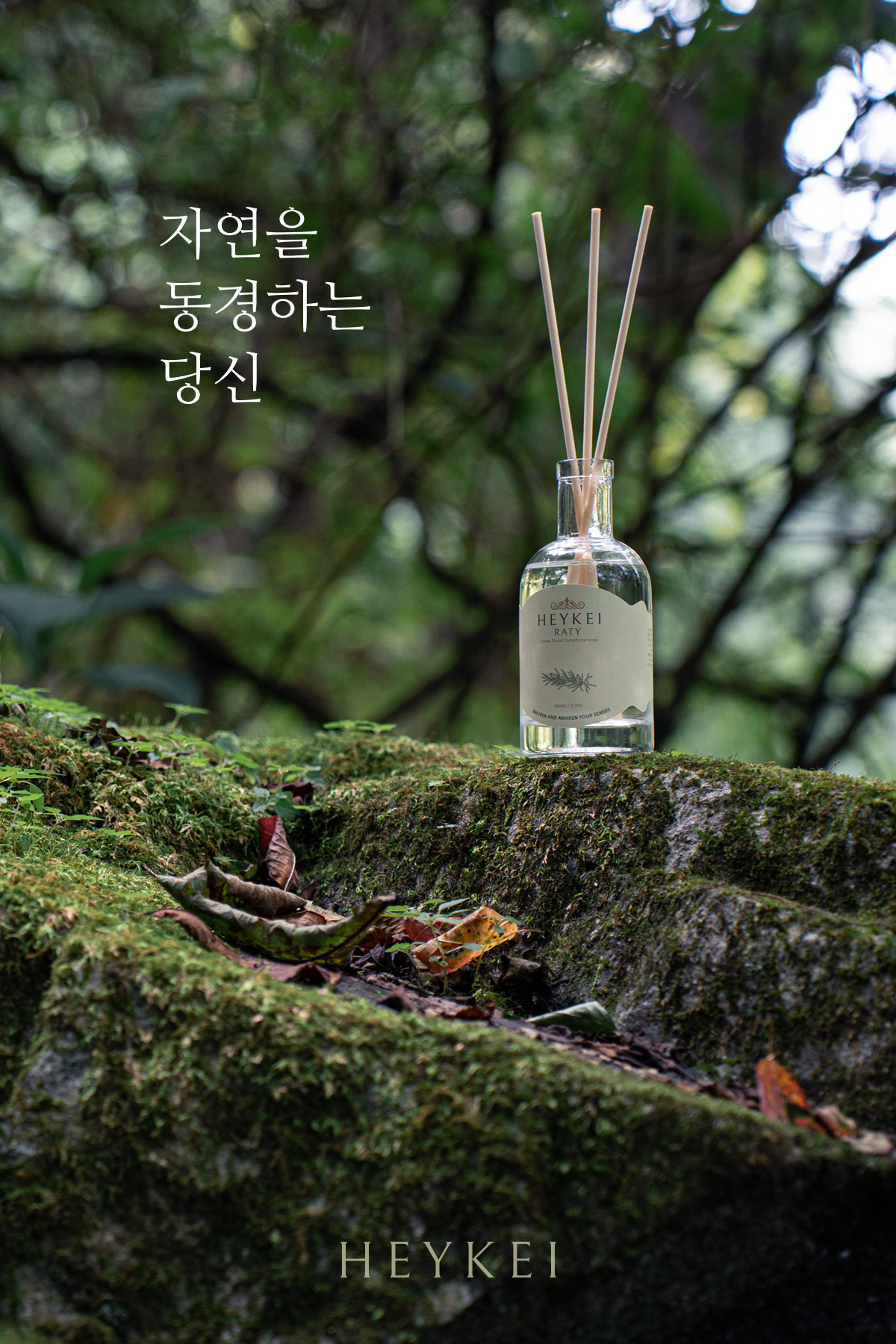 헤이케이 라티 유칼립투스 로즈마리 풀향 디퓨저
