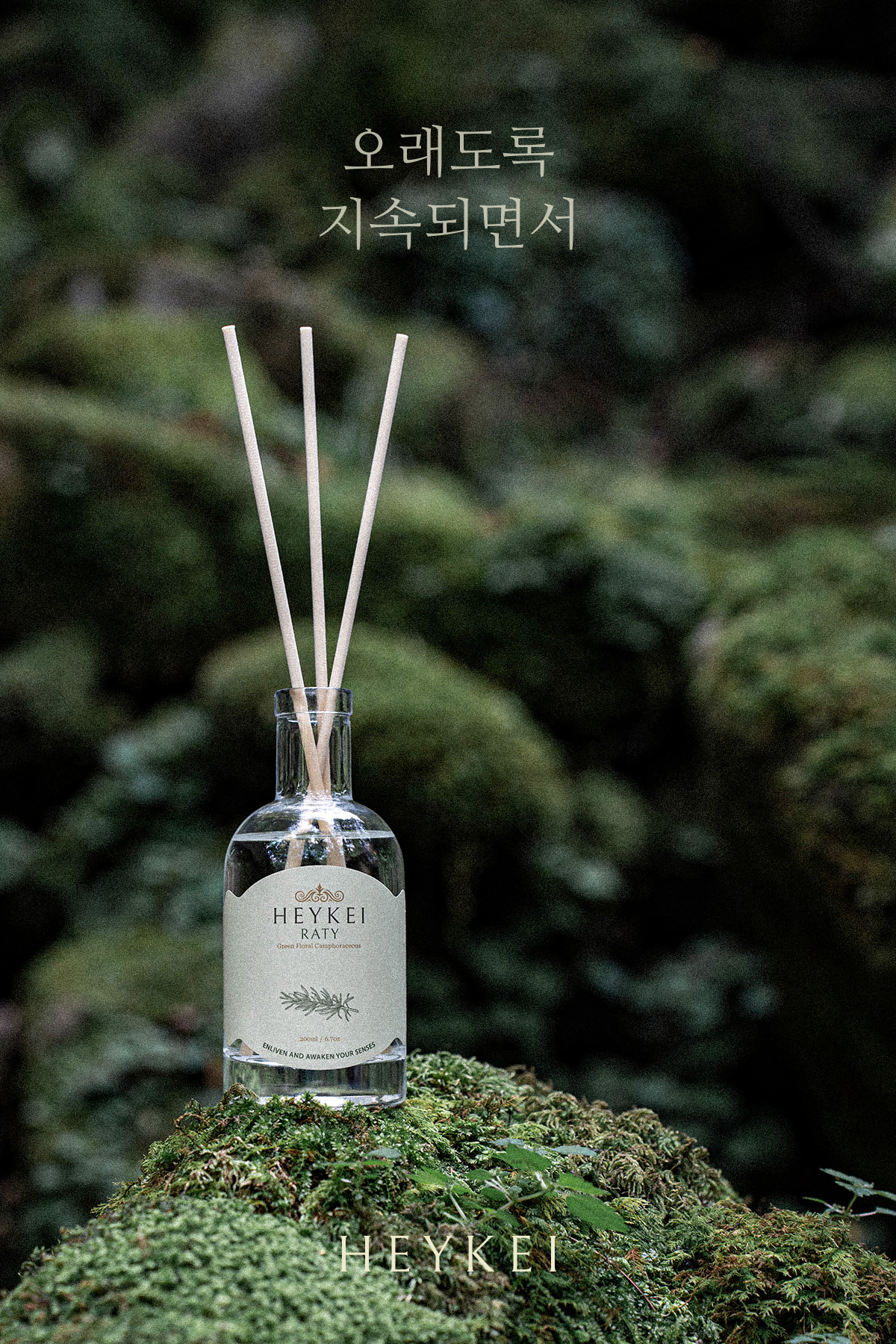 헤이케이 라티 유칼립투스 로즈마리 풀향 디퓨저
