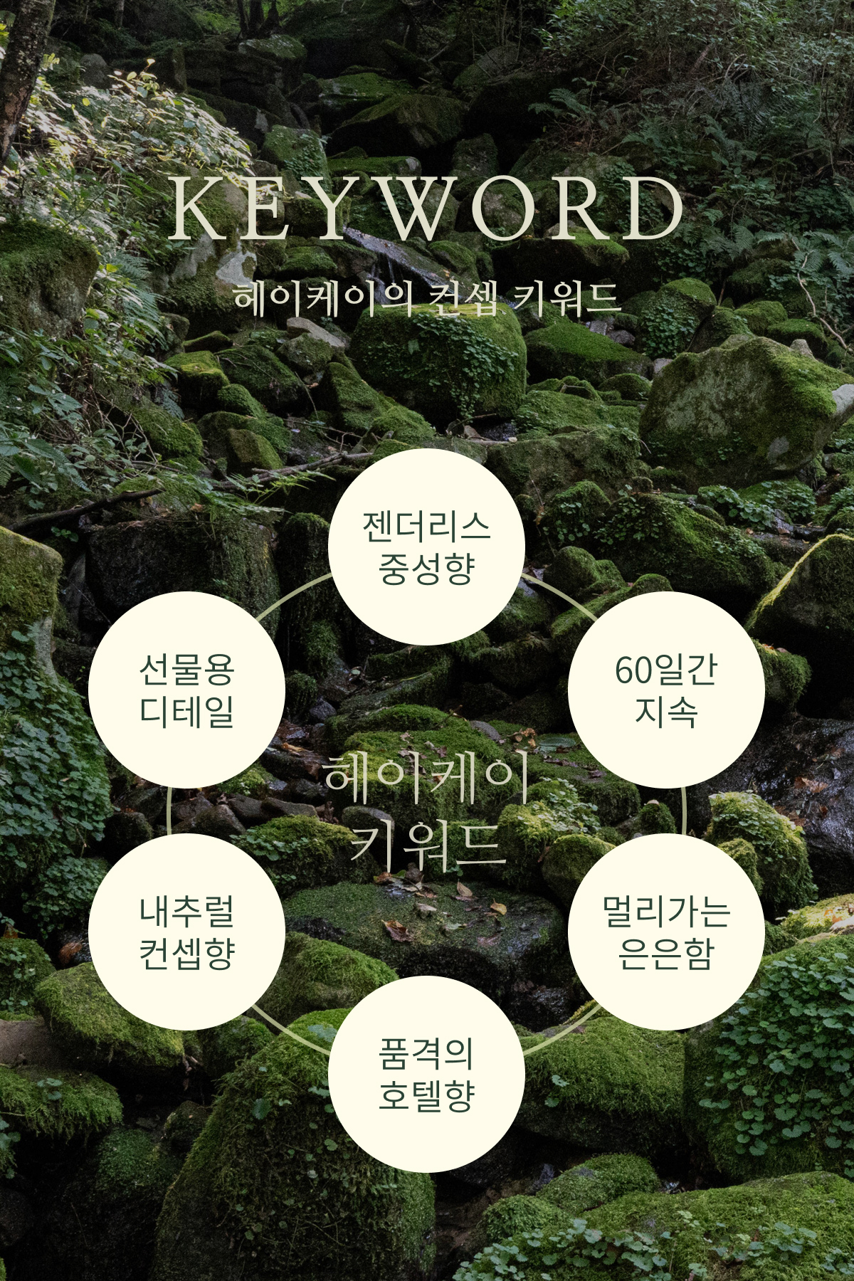 헤이케이 라티 유칼립투스 로즈마리 풀향 디퓨저