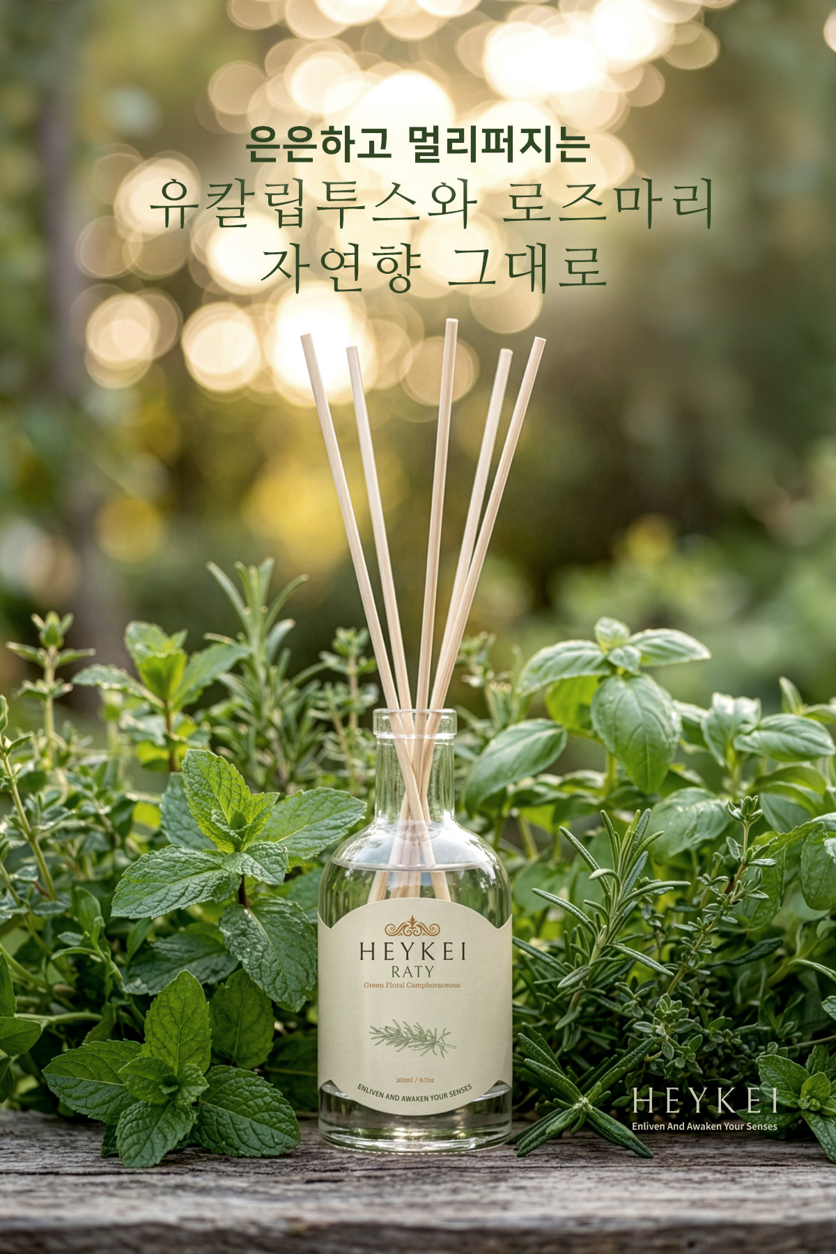 헤이케이 라티 유칼립투스 로즈마리 풀향 디퓨저