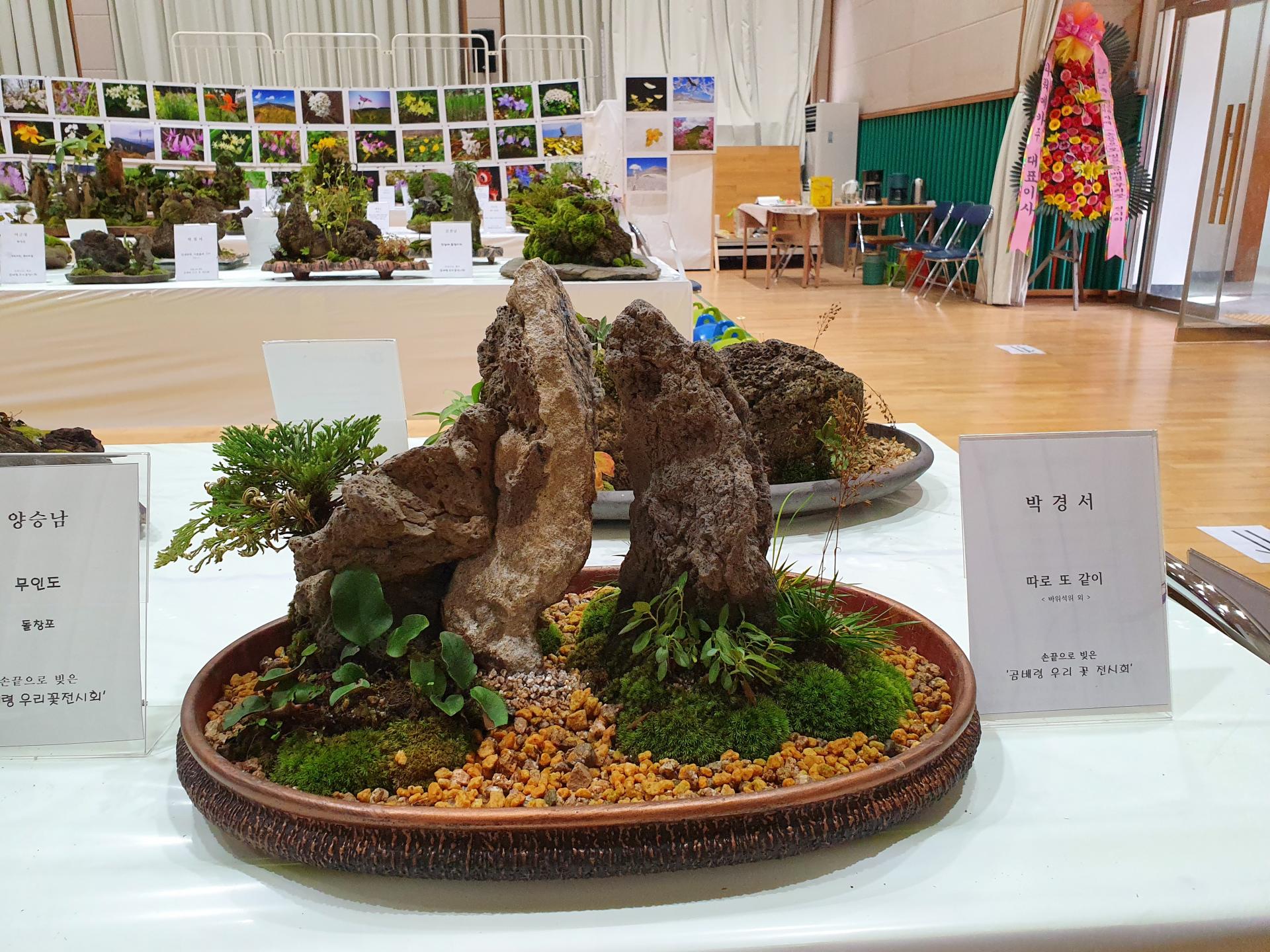 627125162b894.jpg