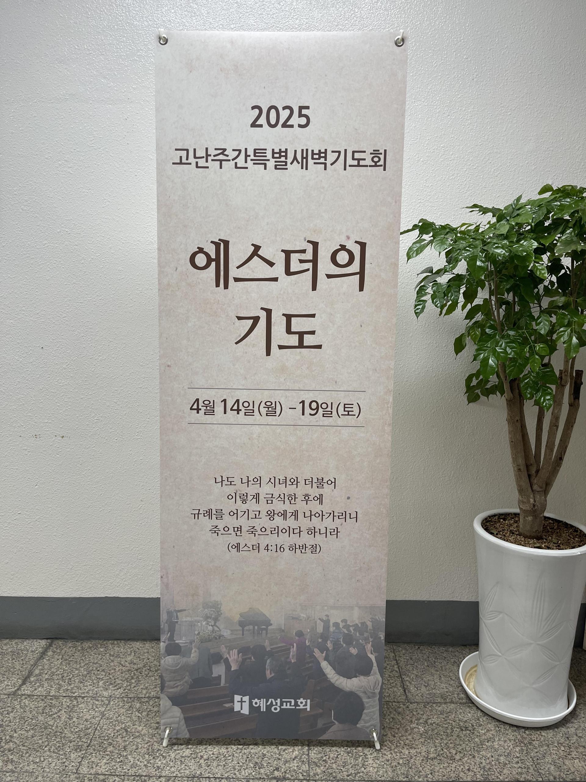 20583ca15345a.jpg