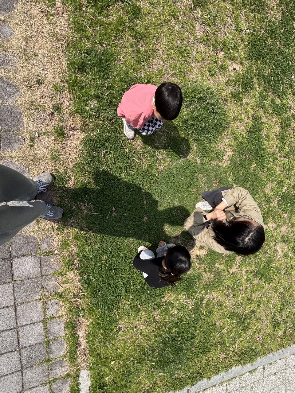 9557ee9711502.jpg