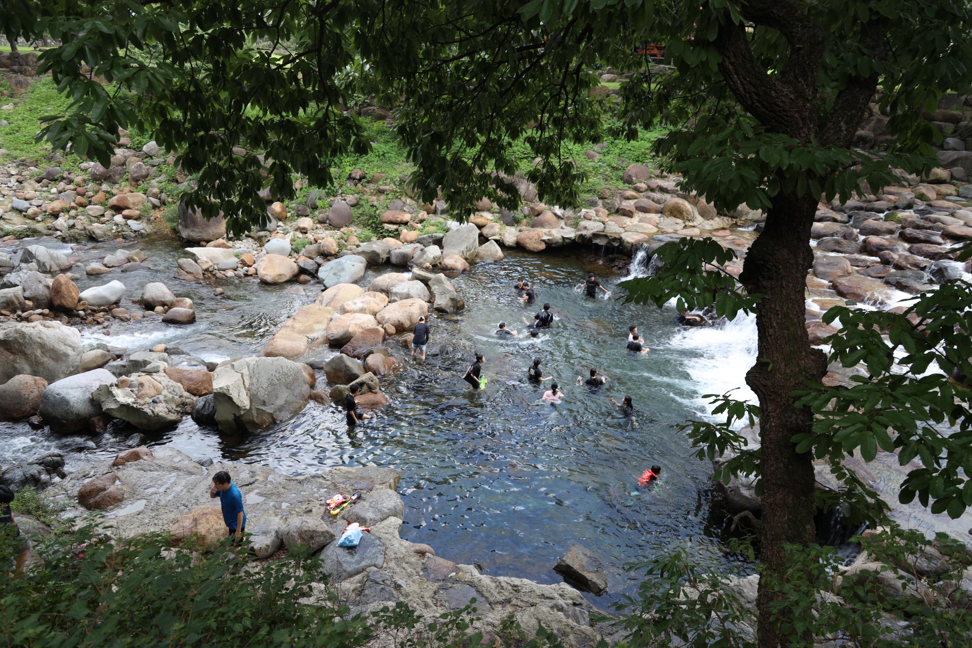 d2a26e54d306c.jpg