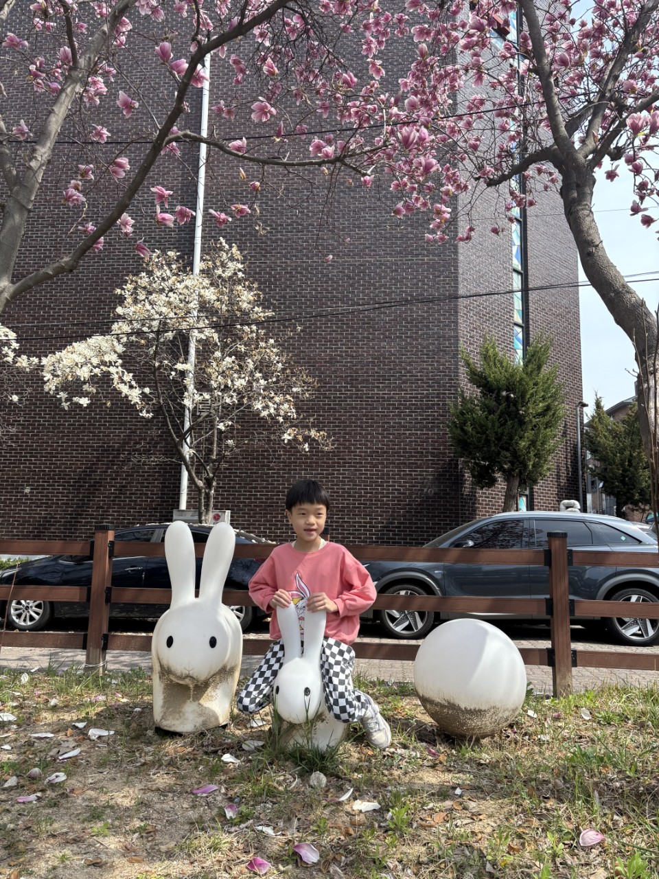 dd15a024810f7.jpg