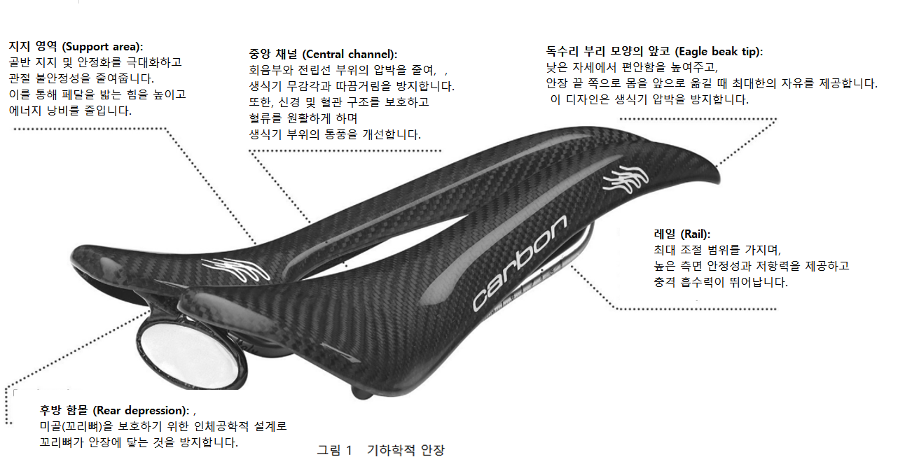 그림 1 기하학적 안장.png