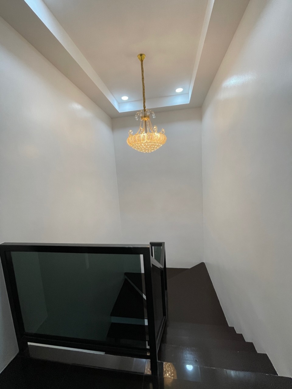 5cf19331e88b8.jpg