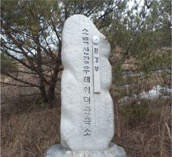 5eec2e5acd775.jpg