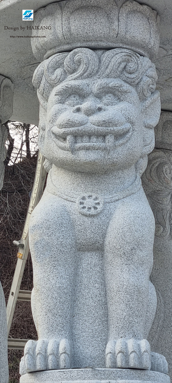 e66258409db7f.jpg