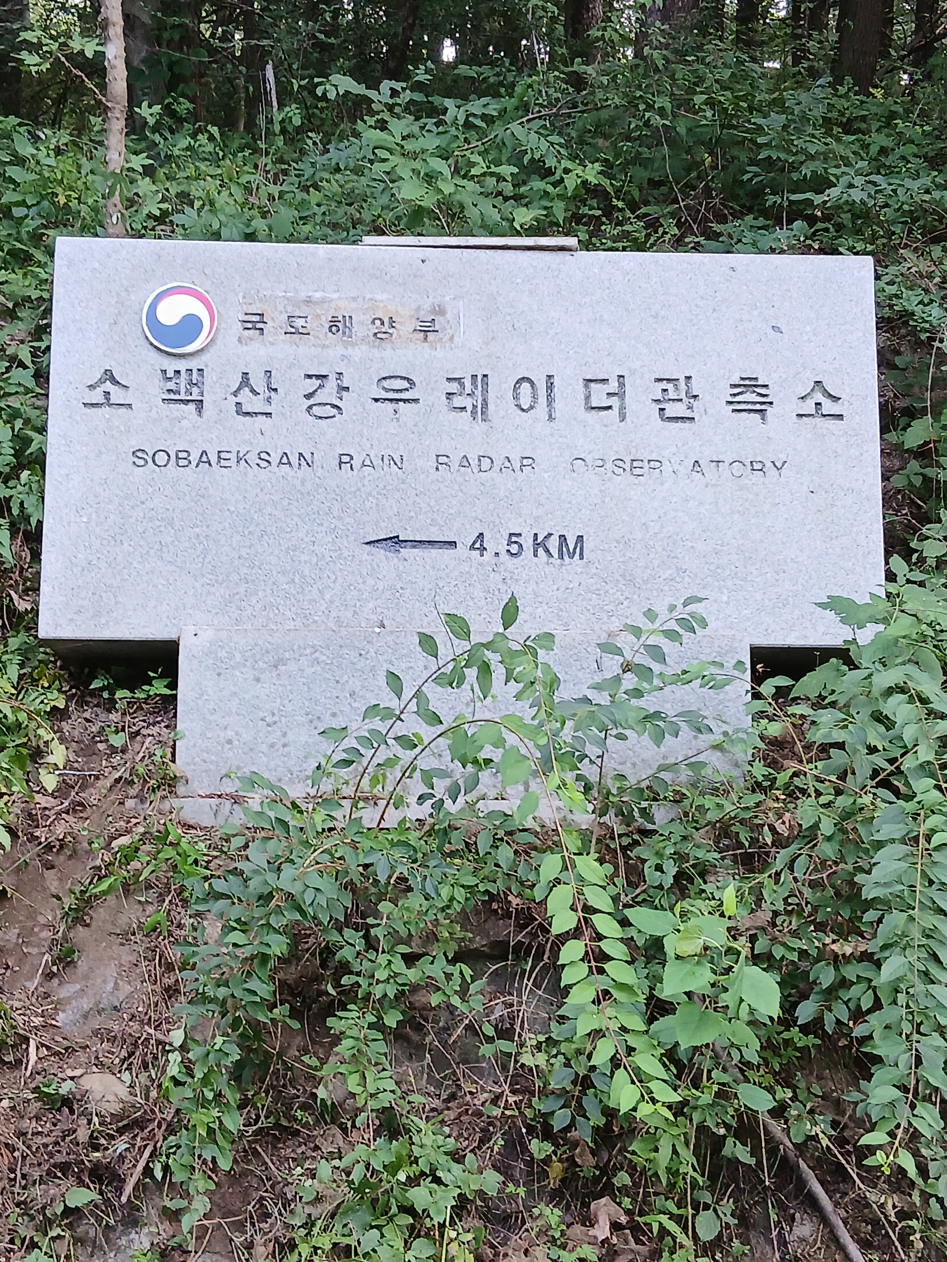 f86e4b0f45505.jpg