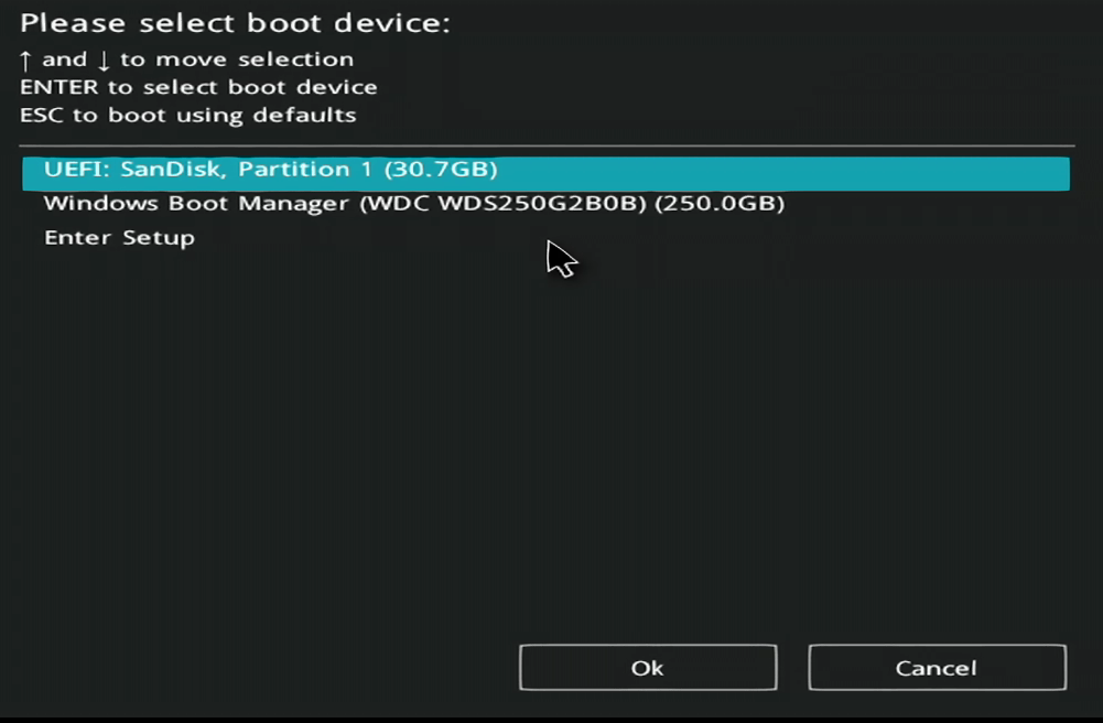 Boot Menu키를 이용한 장치  선택 화면