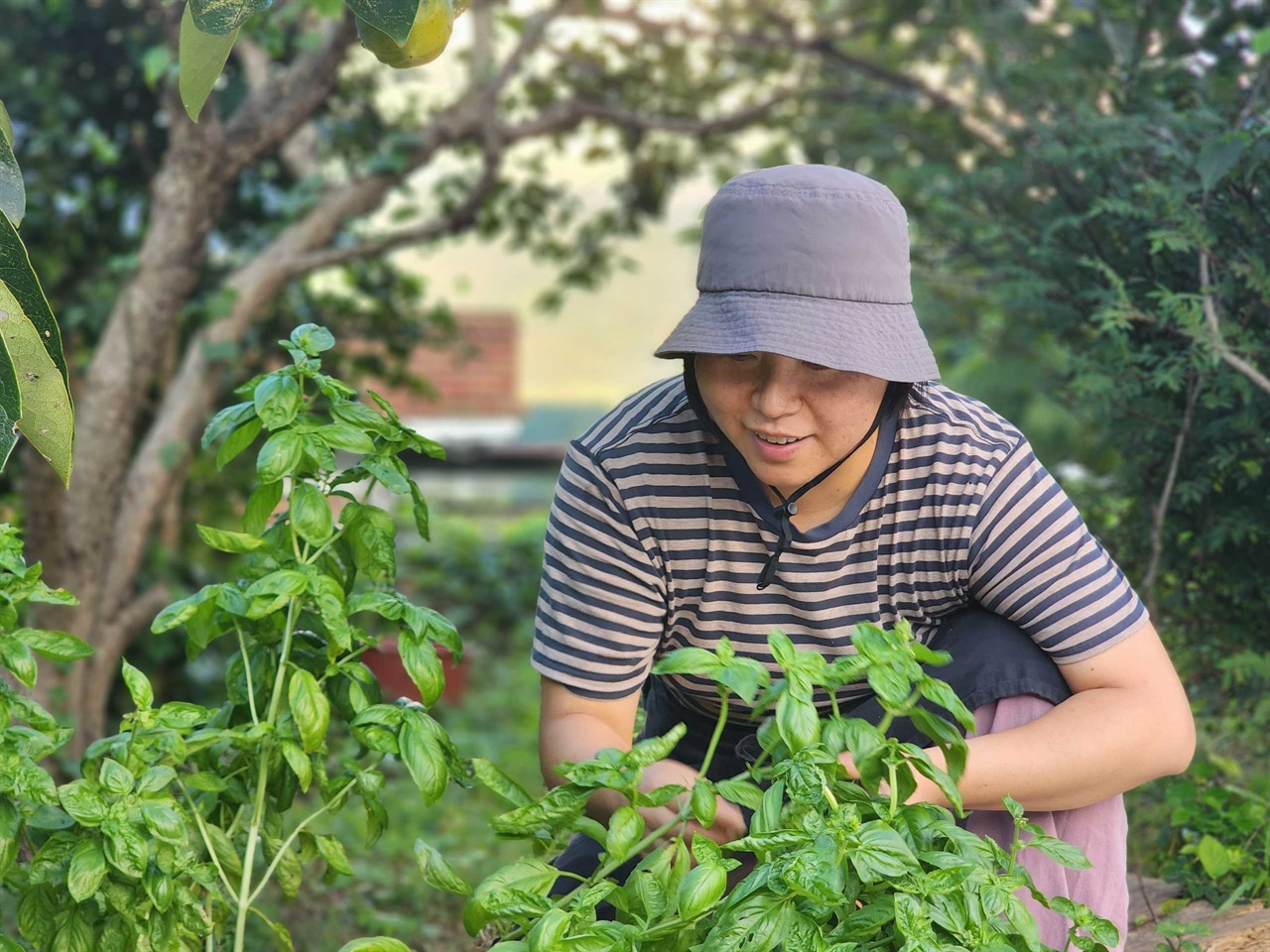 양지 작가 활동 모습