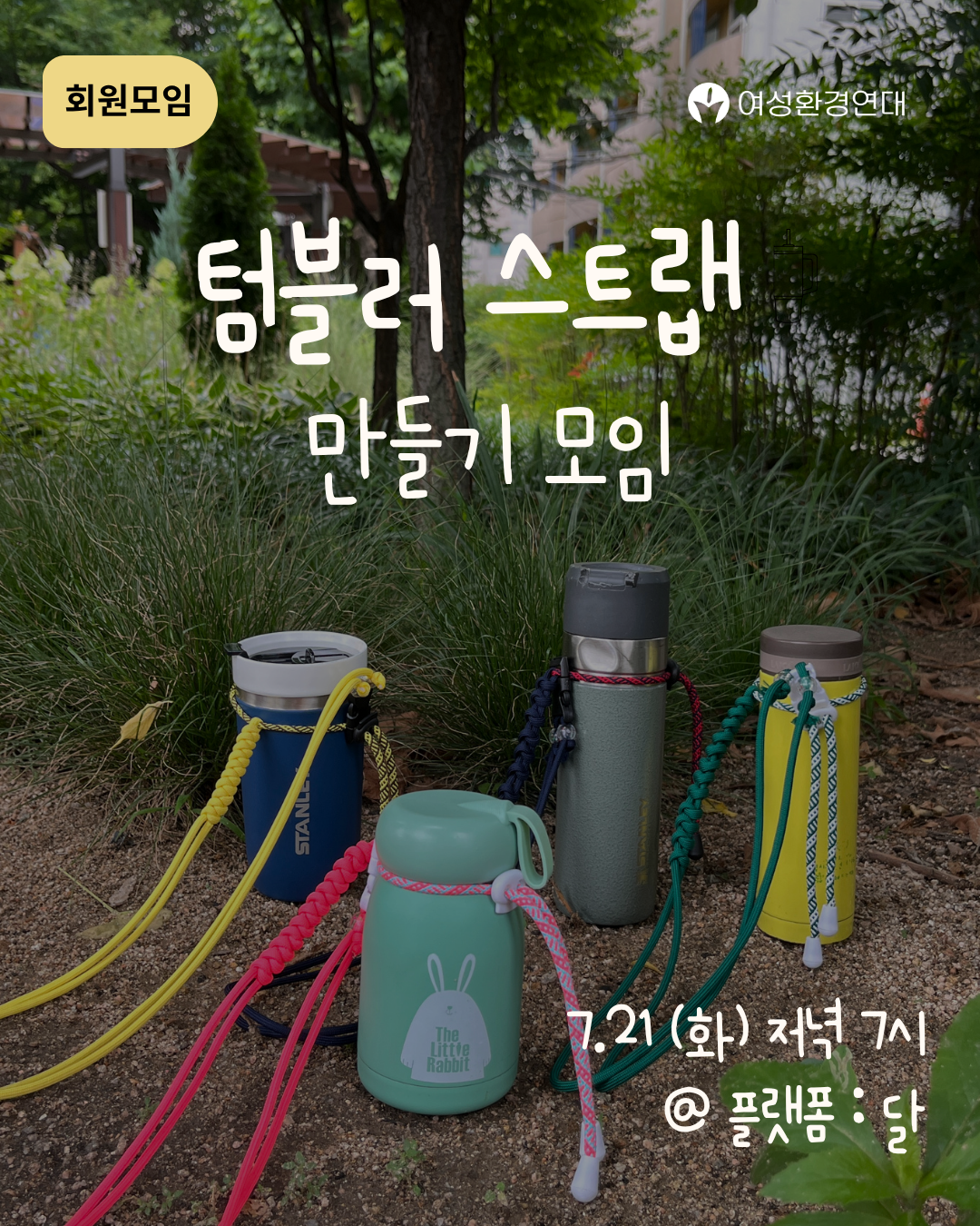 6e75804a427a0.png