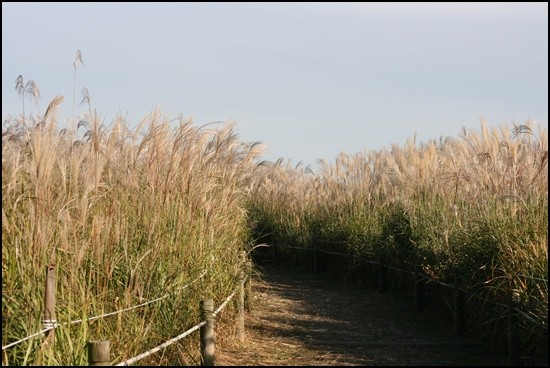 d32de15c173f5.jpg
