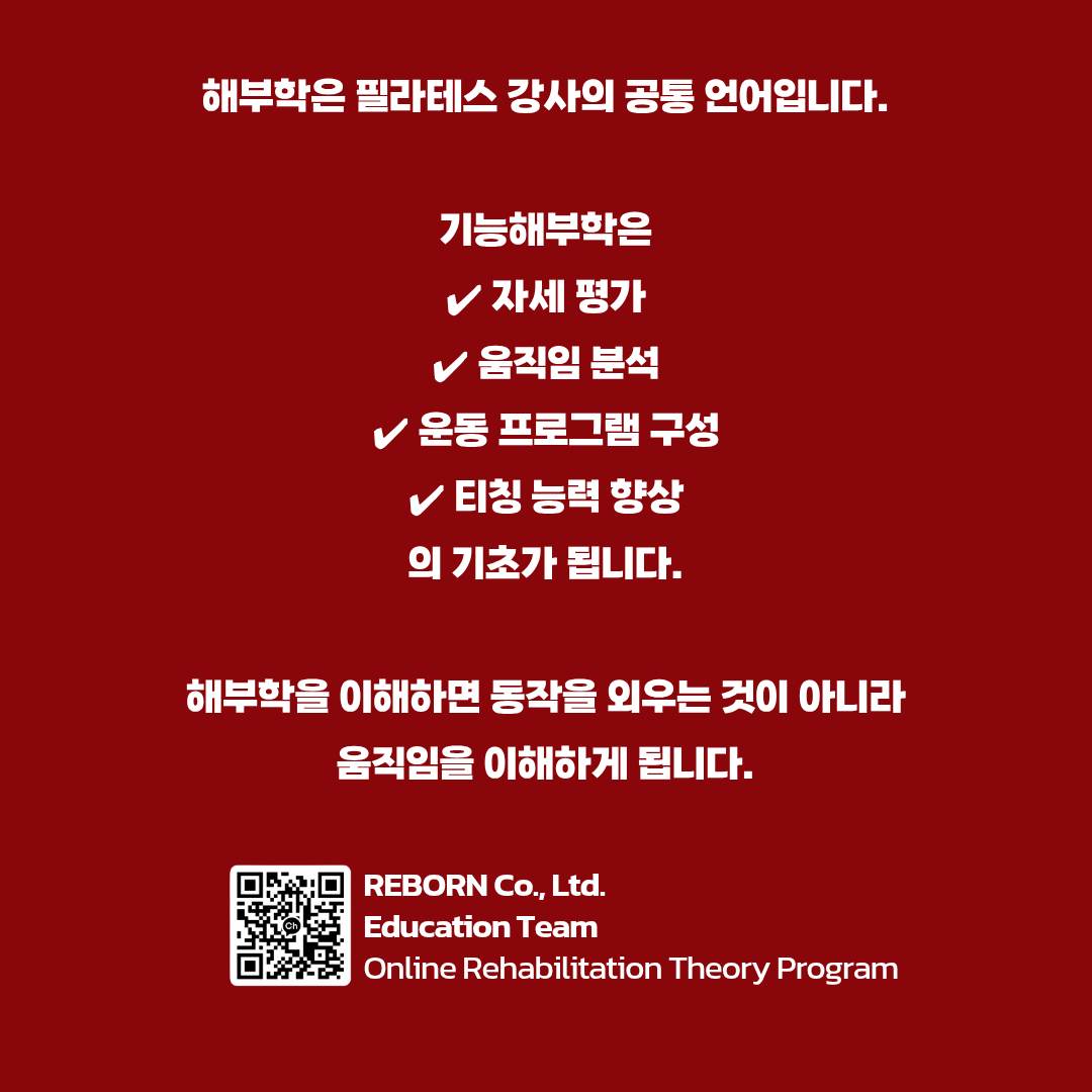 41b21b4dc890e.png