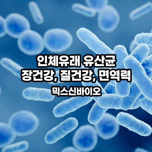 a1bac3933b5c0.jpg