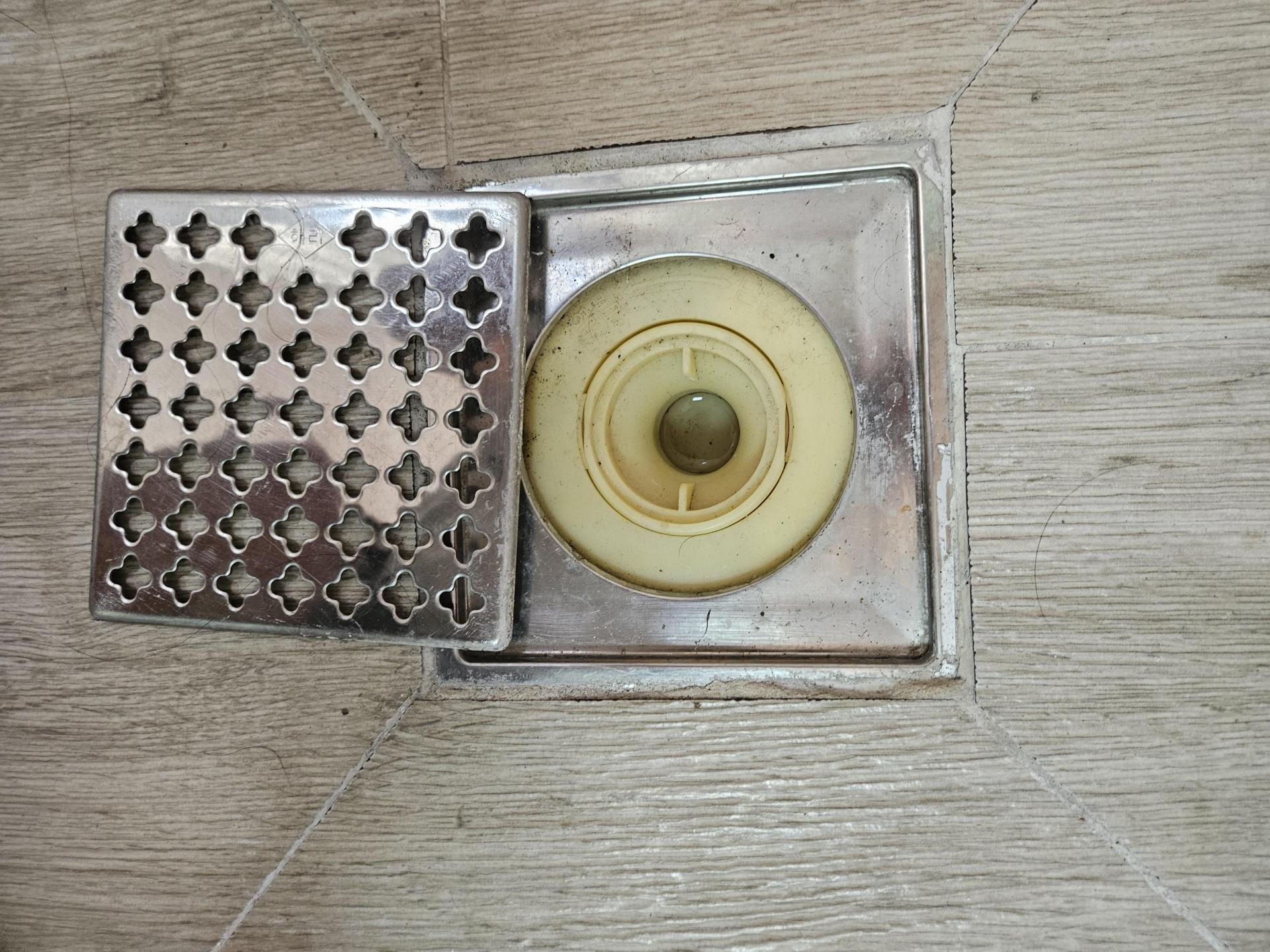 0867cf9dac7b0.jpg
