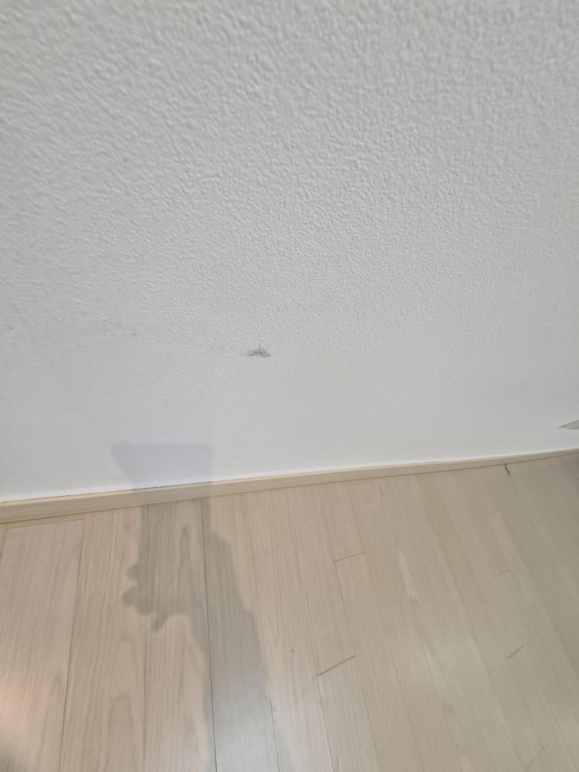 37f5abd224d55.jpg