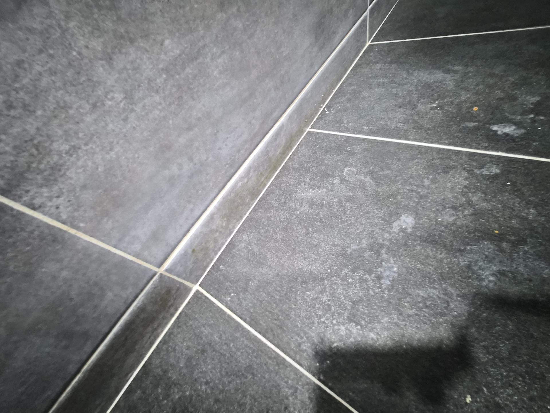 6469c2b18067e.jpg