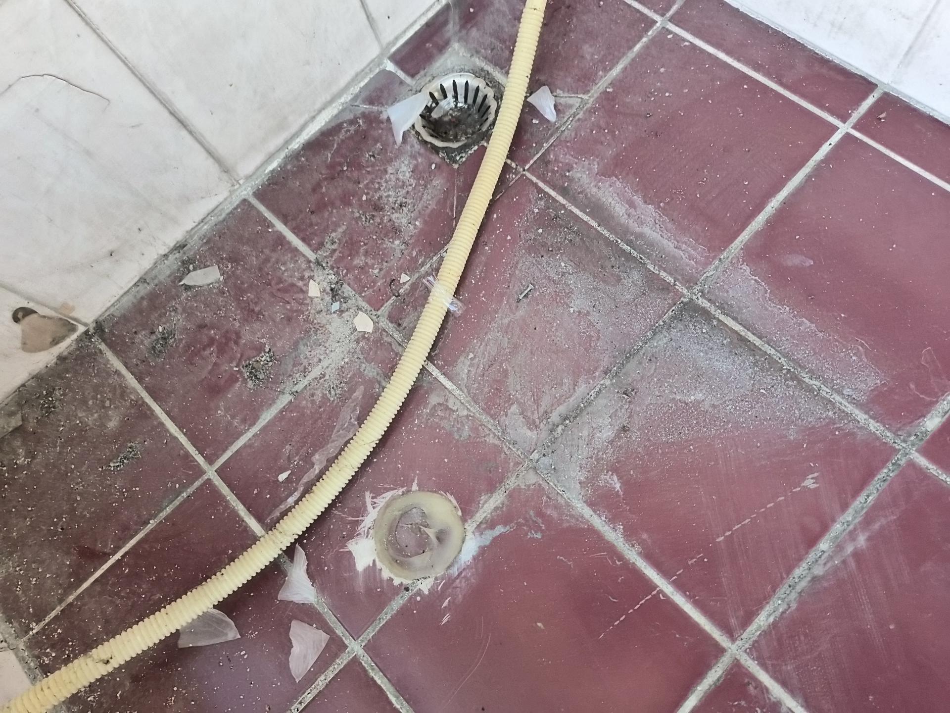 a4335e9e507f9.jpg