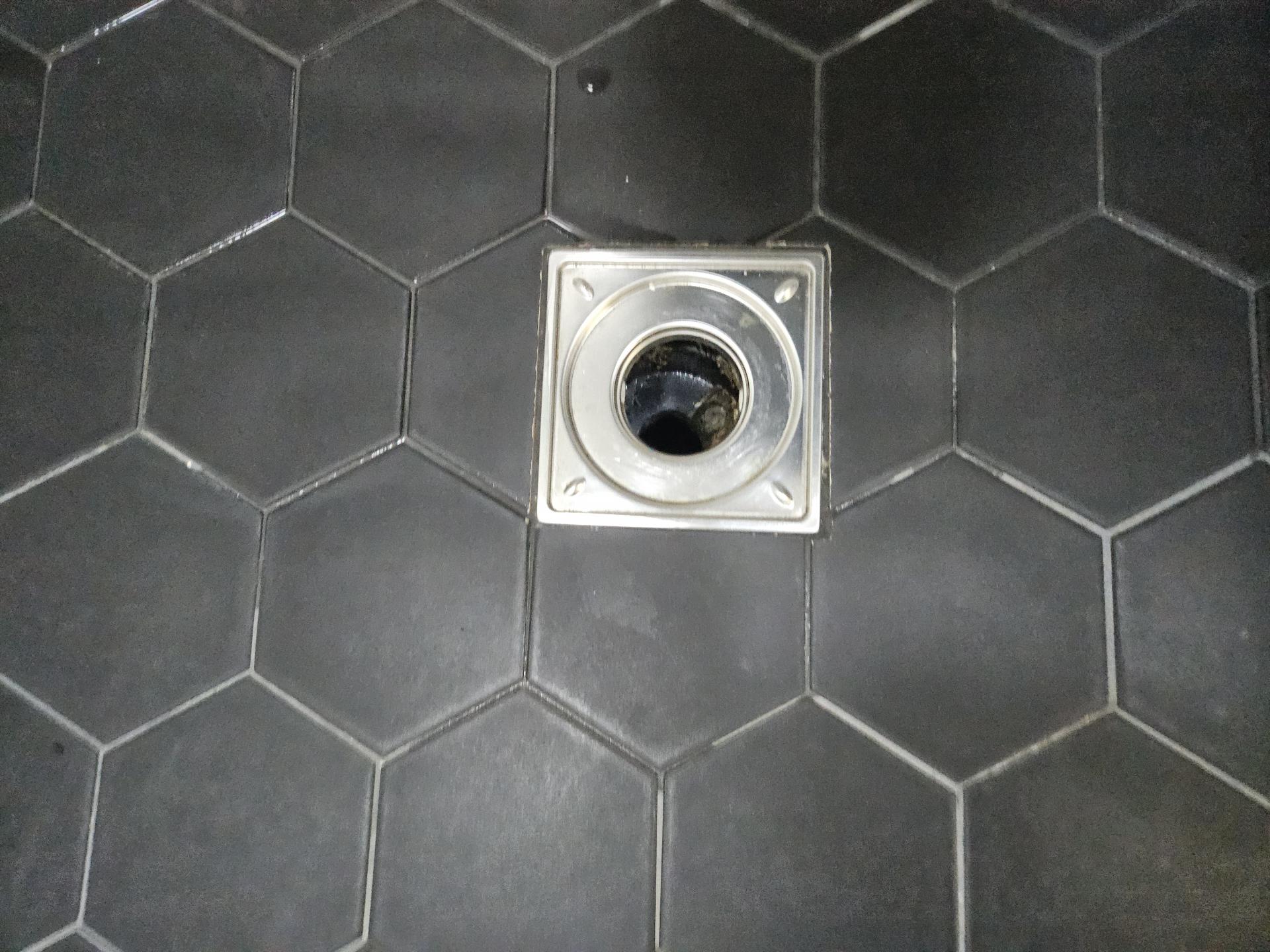 de153db7875d2.jpg