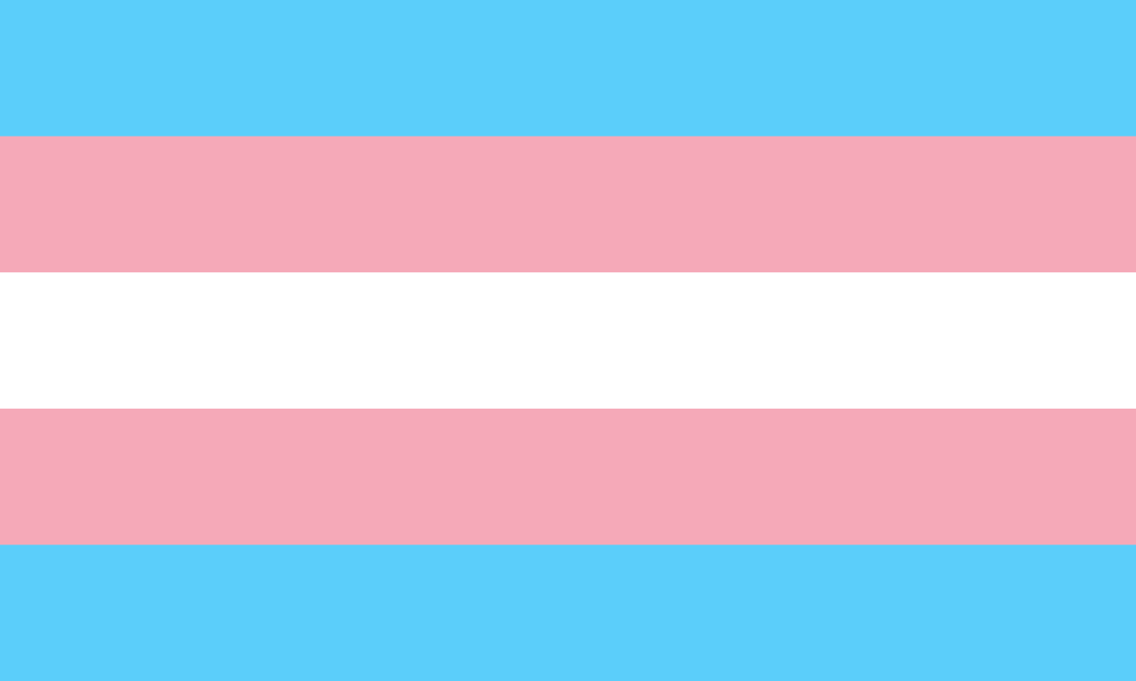 트랜스젠더 자긍심 깃발 (Transgender Pride Flag)