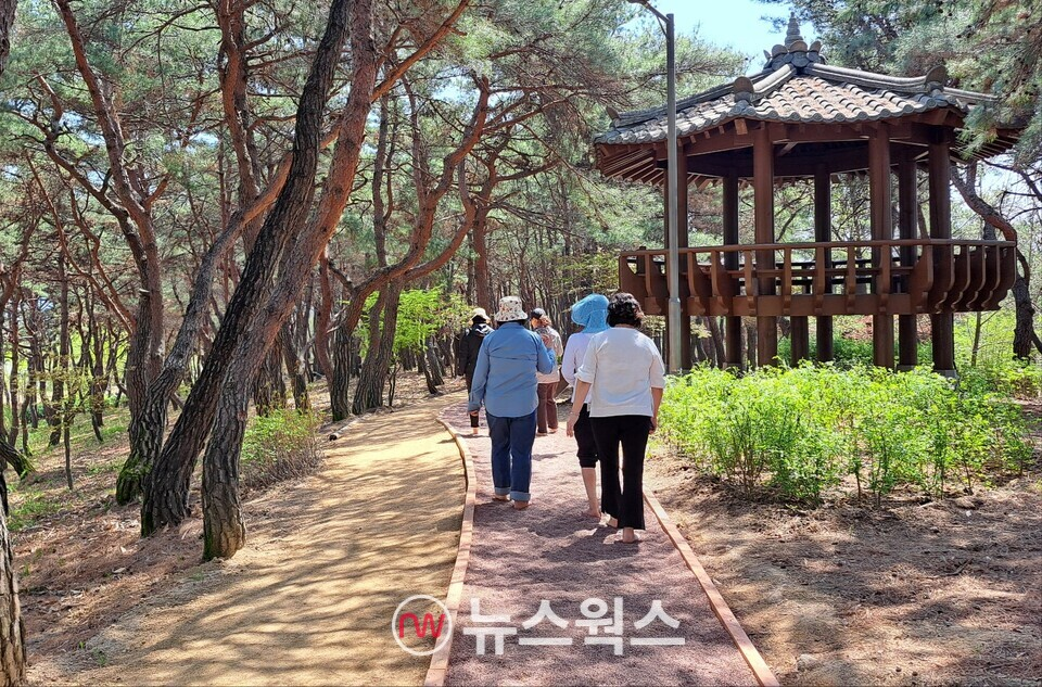 경북도청 천년의 숲 레드일라이트 맨발 길에서 방문객들이 맨발 걷기를 하고 있다. (사진제공=리바컴퍼니)  출처 : 뉴스웍스(https://www.newsworks.co.kr)