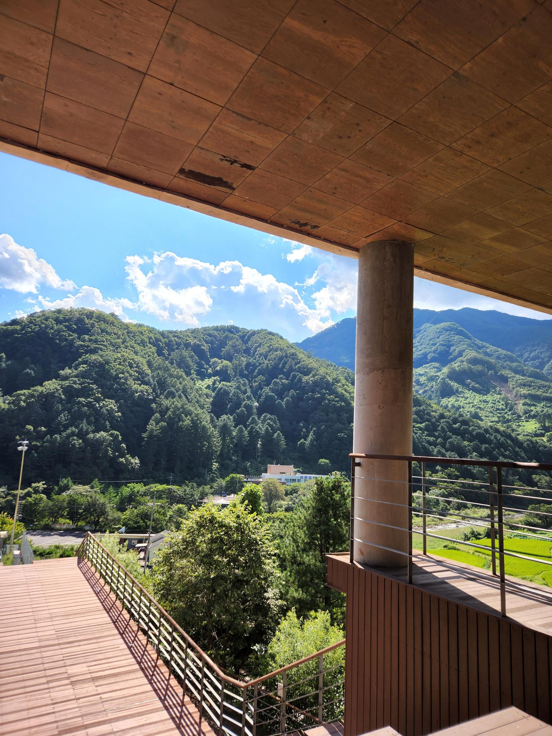 2708d3291c5fe.jpg