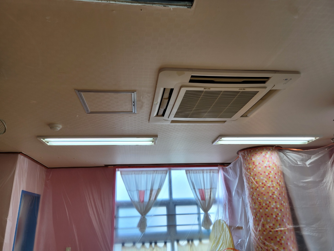 55f3d2c5d7a9c.jpg