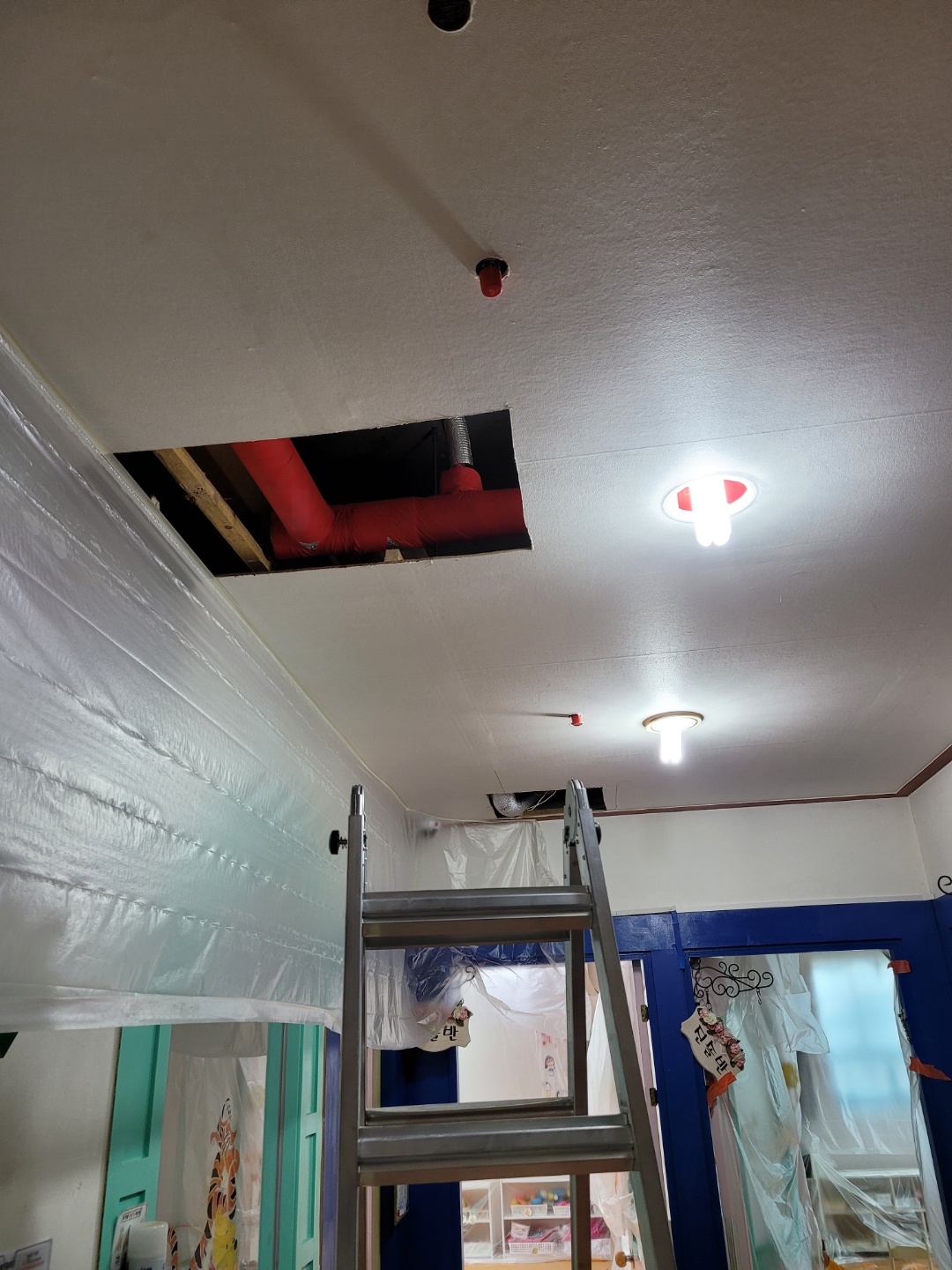 e14b0794095e1.jpg