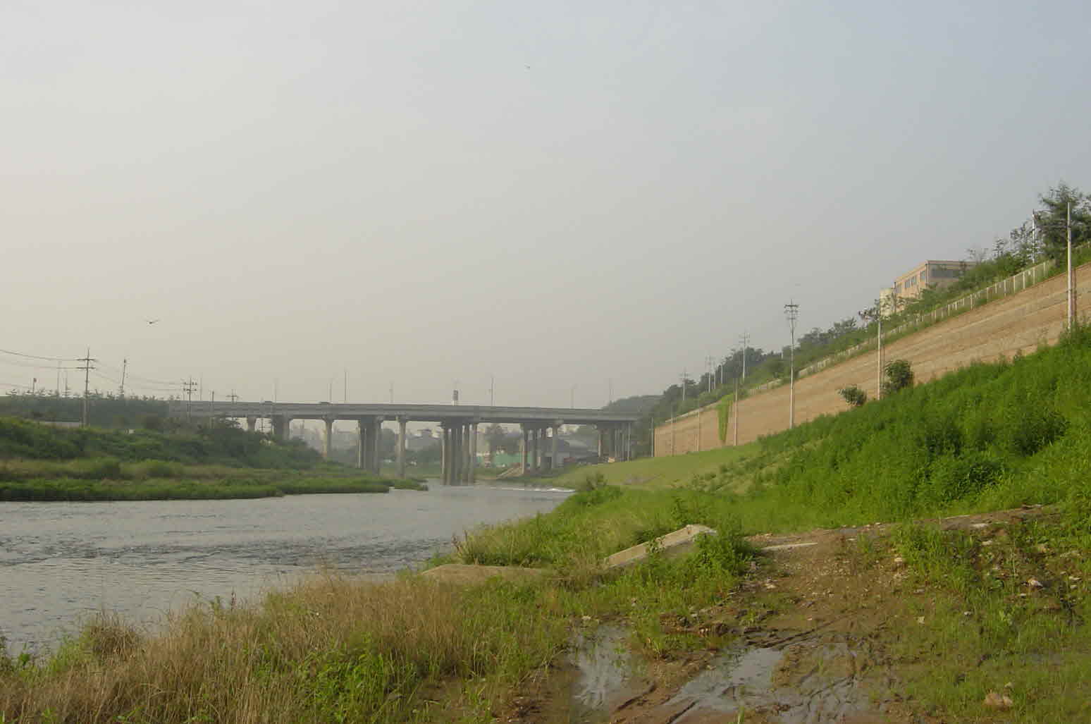 412f0d5a4259b.jpg