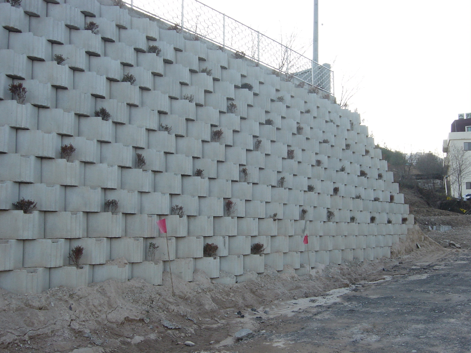 4cbc80790422c.jpg