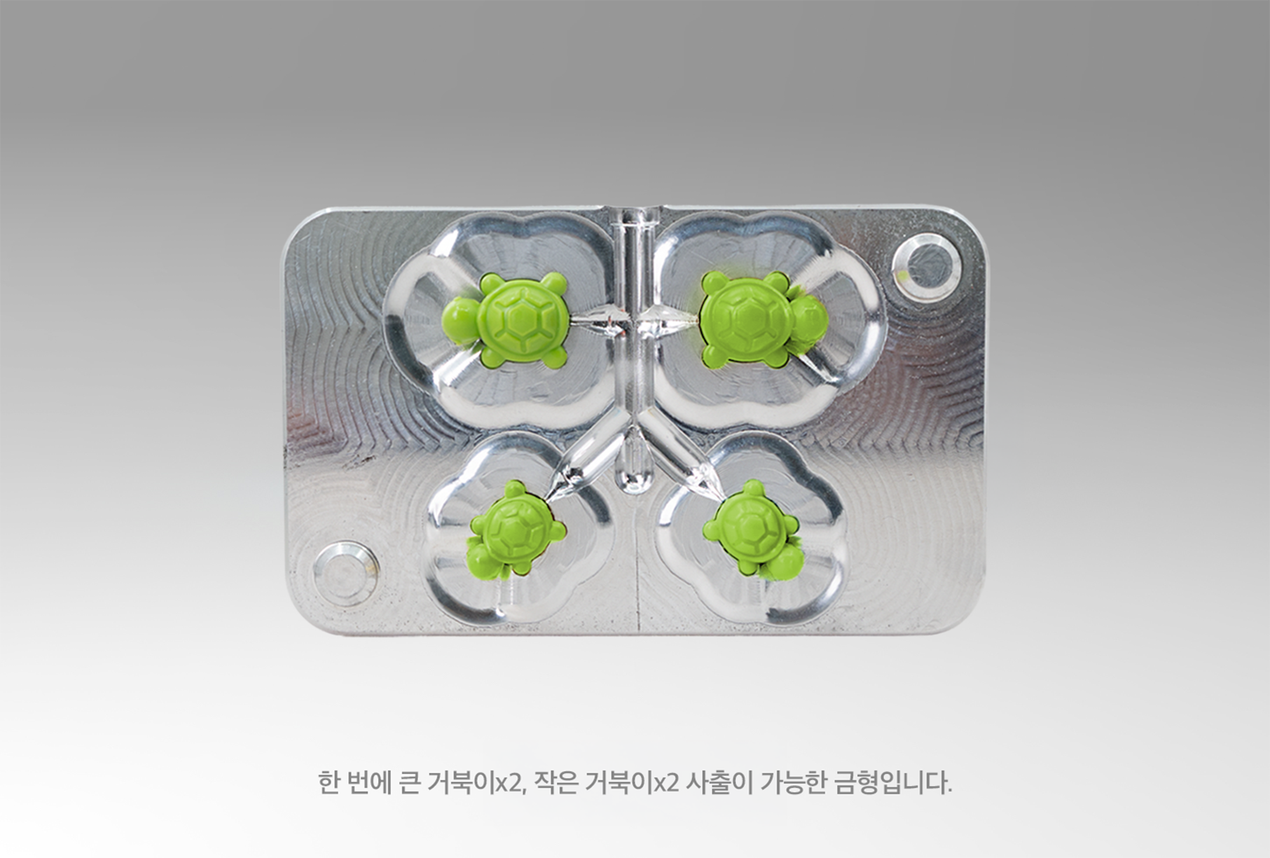 [금형] 바다 슈 참